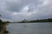 Элеватор на 29-й линии