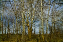 Весна на Северском Донце у хутора Богатов и горы Пирамидальной