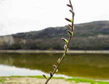 Весна на Северском Донце у хутора Богатов и горы Пирамидальной