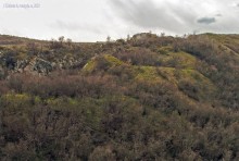 Гора Пирамидальная на Северском Донце у хутора Богатов