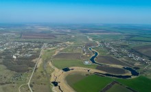 Весенние цветы Тузловских склонов