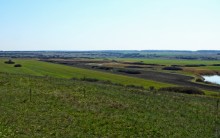 Весенние цветы Тузловских склонов