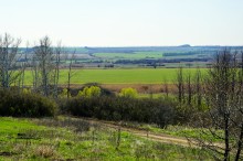Весенние цветы Тузловских склонов