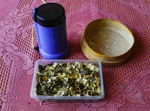 Тростник южный