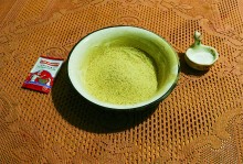 Тростник южный