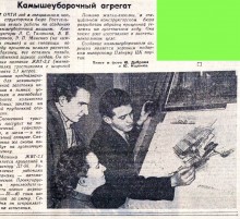 Тростник южный