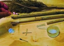 Тростник южный