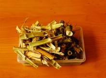 Тростник южный