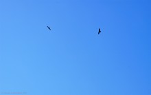 Весна в долине Тузлова