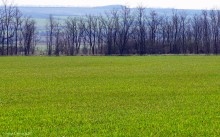 Весна в долине Тузлова