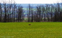 Весна в долине Тузлова