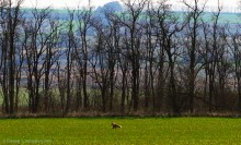 Весна в долине Тузлова
