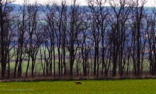 Весна в долине Тузлова