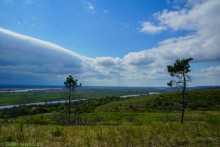 Аксайский склон в соснах у Александровки
