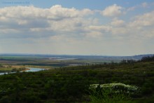 Аксайский склон в соснах у Александровки