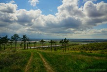 Аксайский склон в соснах у Александровки