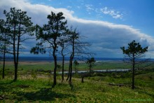 Аксайский склон в соснах у Александровки