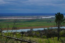 Аксайский склон в соснах у Александровки