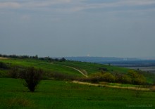 Мишкинские бугры