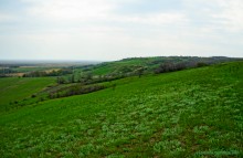 Мишкинские бугры