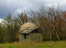 Заброшенные сады у хутора Пчеловодный на Аксайских склонах