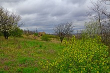 Заброшенные сады у хутора Пчеловодный на Аксайских склонах