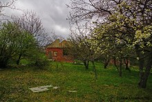 Заброшенные сады у хутора Пчеловодный на Аксайских склонах