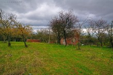 Заброшенные сады у хутора Пчеловодный на Аксайских склонах