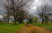 Заброшенные сады у хутора Пчеловодный на Аксайских склонах