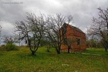 Заброшенные сады у хутора Пчеловодный на Аксайских склонах