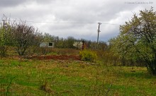 Заброшенные сады у хутора Пчеловодный на Аксайских склонах