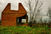 Заброшенные сады у хутора Пчеловодный на Аксайских склонах