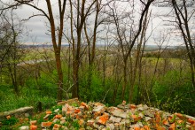 Заброшенные сады у хутора Пчеловодный на Аксайских склонах