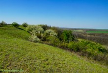 Междуречье Тузлова и Большого Несветая