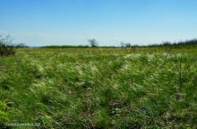 Междуречье Тузлова и Большого Несветая