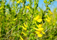 Междуречье Тузлова и Большого Несветая