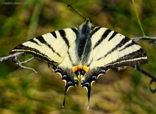 Междуречье Тузлова и Большого Несветая