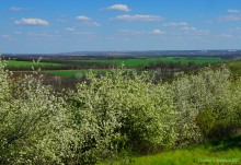 Междуречье Тузлова и Большого Несветая