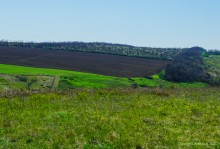 Междуречье Тузлова и Большого Несветая