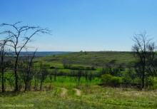 Междуречье Тузлова и Большого Несветая