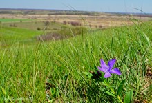 Весна на Тузлове