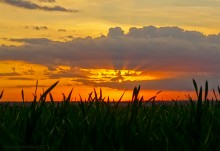 Облака у поселка Темерницкий