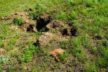 Окопы в долине Тузлова