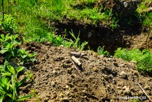 Окопы в долине Тузлова