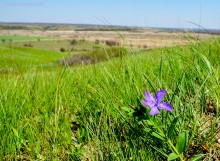 Окопы в долине Тузлова