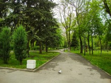 Парк им. Н. Островского в эпоху пандемии коронавируса.