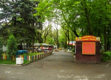 Парк им. Н. Островского в эпоху пандемии коронавируса.