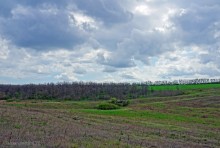 Старый мост в балке Аглица и путешествие по почтовым станциям