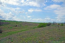 Старый мост в балке Аглица и путешествие по почтовым станциям