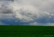 Памятники курсантам РАУ в хуторе Каменный Брод.